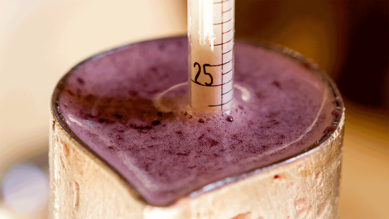 wine tester for Brix