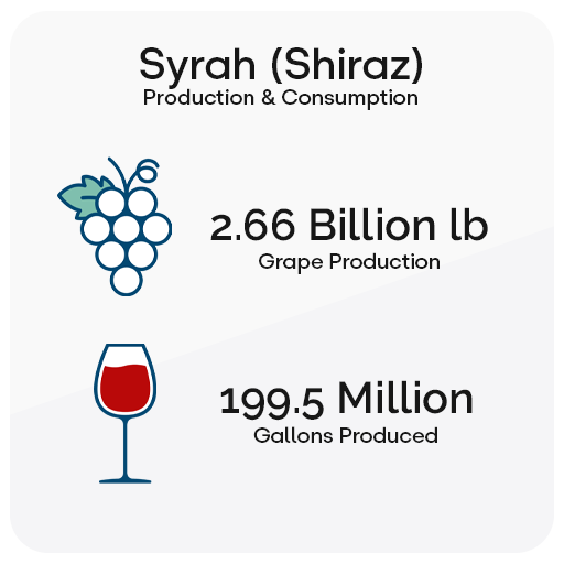 Types of red wine Syrah Shiraz