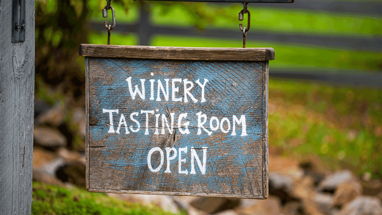 visiting a winery and enjoying a tasting experience outdoors